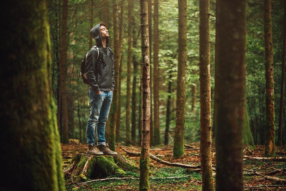 man enjoying solo hike in North Conway forest 